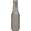 Bosch Schrauberbit TicTac Box T25 Extra-Hart