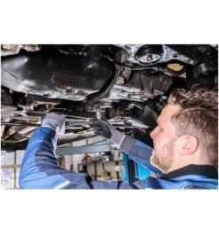 Hazet Schraubendreher-Steckschlüsseleinsatz Satz, Vierkant Hohl 12,5 Mm (1/2"), Innen-Sechskant Profil, 5 - 17, Anzahl Werkzeuge: 9 -Werabahco Verkaufe hazet bit satz 818773 czm