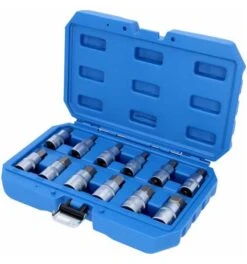 Brilliant Tools 1/2" Innensechskant Bit-Stecknuss-Satz, 12-tlg., 5 - 22 Mm